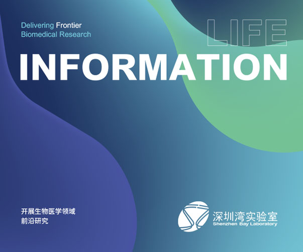 巨頭重塑識別力——亞馬遜、沃爾瑪與Adobe的商標(biāo)戰(zhàn)略